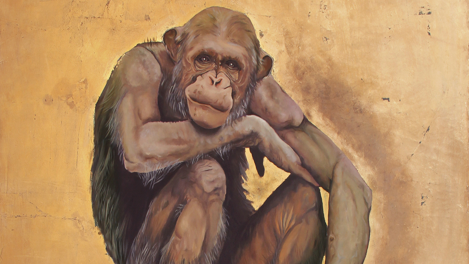 Çevre sergisi açıldı