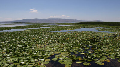 Nilüferleriyle huzurun rotası!