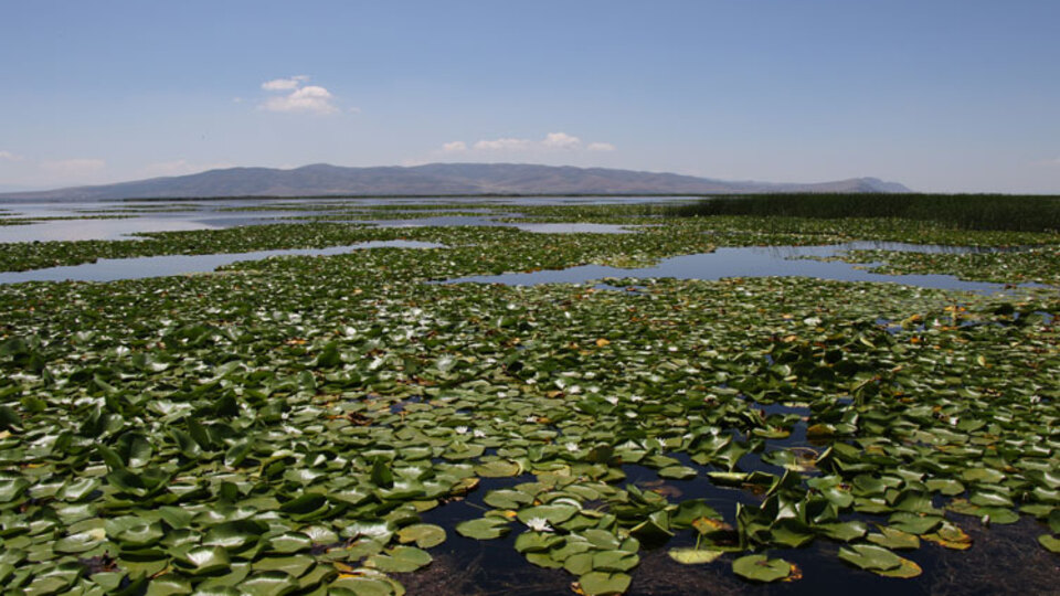 Nilüferleriyle huzurun rotası!