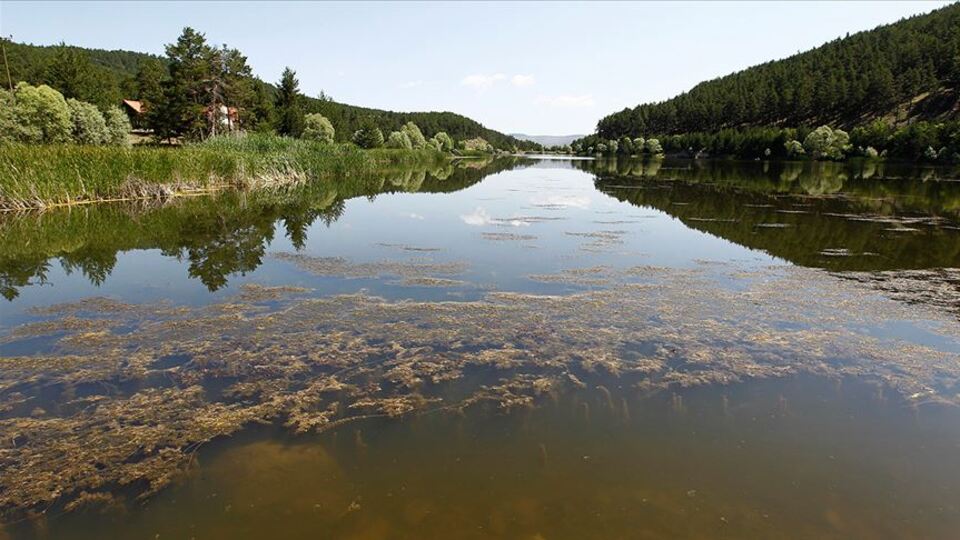Türkiye'nin ilk engelsiz parkı olacak