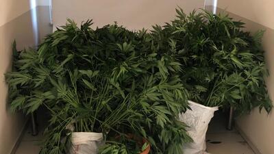 Oto yıkamacıya uyuşturucu baskını