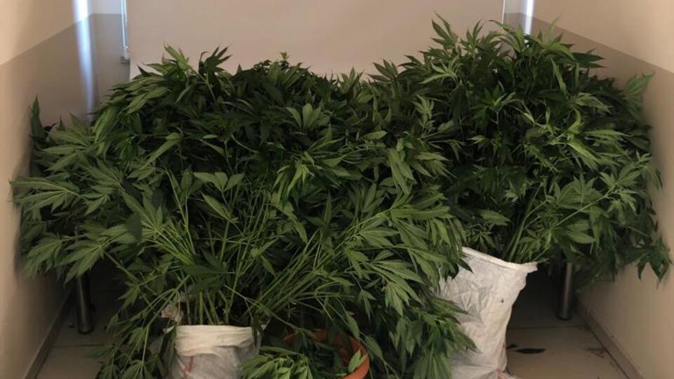 Oto yıkamacıya uyuşturucu baskını