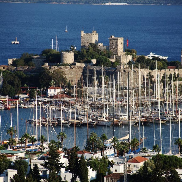 Bodrum'da 50 kişi hastanelik oldu!