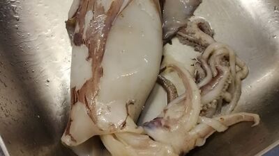 Kalamar pişirecekti! İçinden çıkan şoke etti!