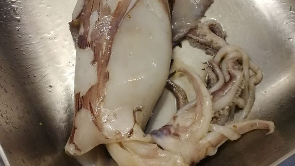 Kalamar pişirecekti! İçinden çıkan şoke etti!