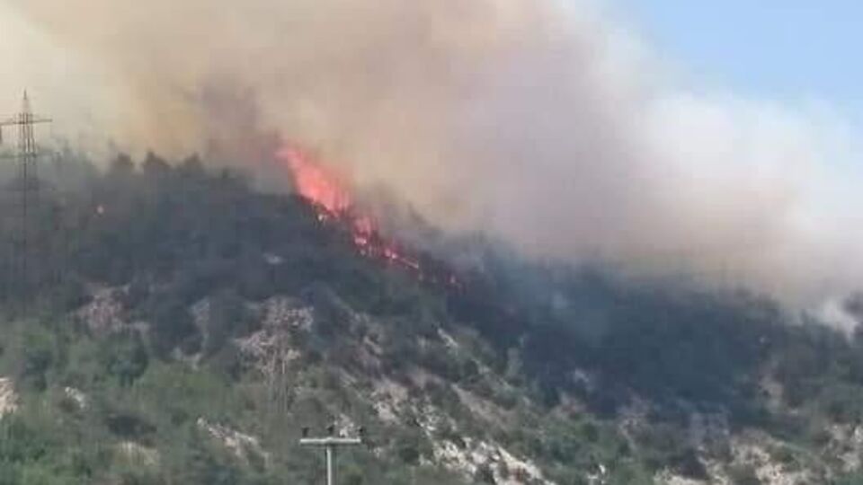 Bilecik'te yangın! Müdahale sürüyor