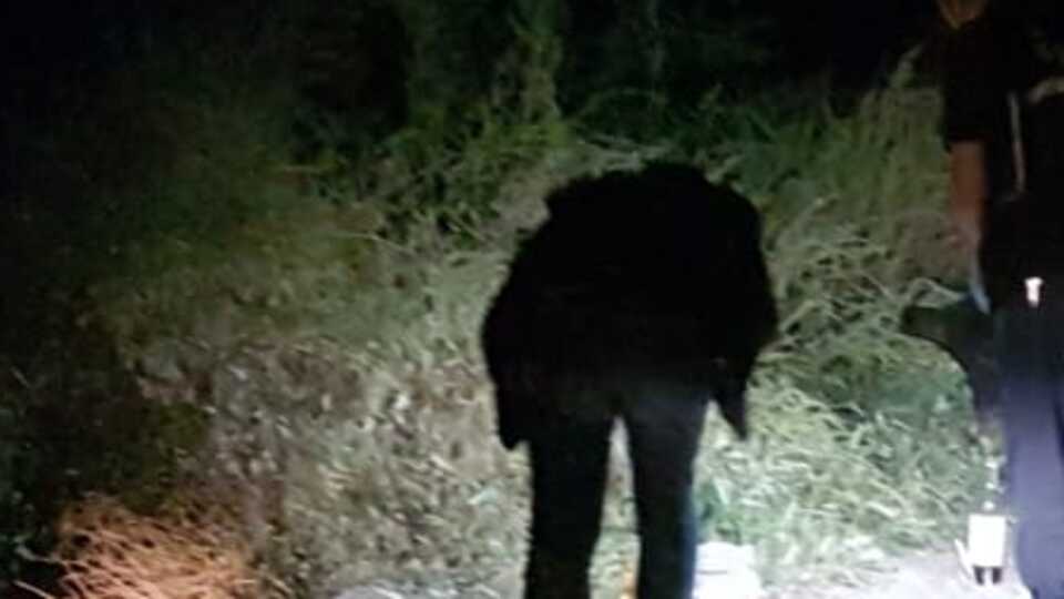 Arkadaşını hastaneye götürdü, gözaltına alındı!