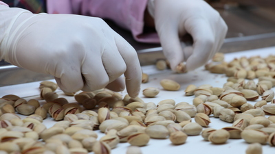 "Fistalora" markasıyla dünyaya açılıyor