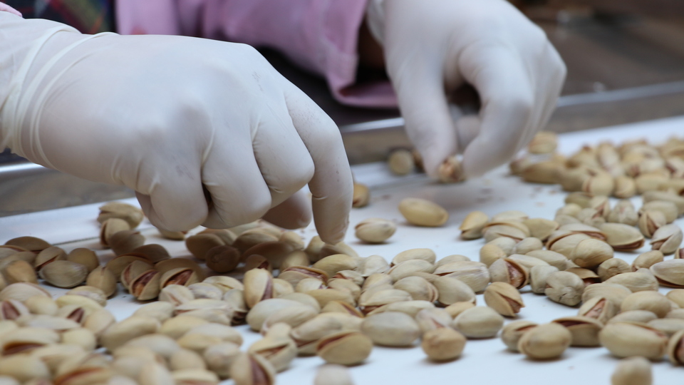 "Fistalora" markasıyla dünyaya açılıyor