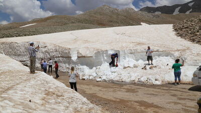 Denizden çıkıp kar topu oynadılar!