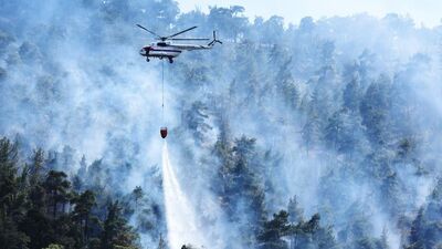 Bayramda yandık! Yüzlerce hektar kül oldu