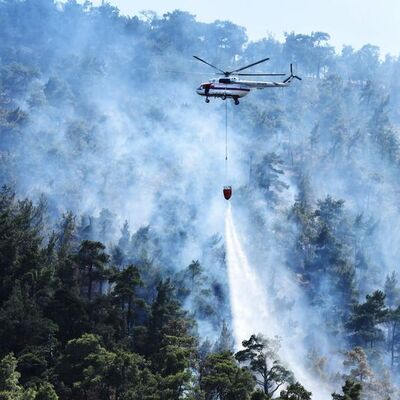 Bayramda yandık! Yüzlerce hektar kül oldu