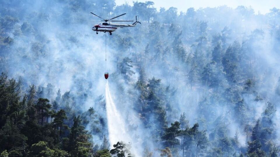 Bayramda yandık! Yüzlerce hektar kül oldu