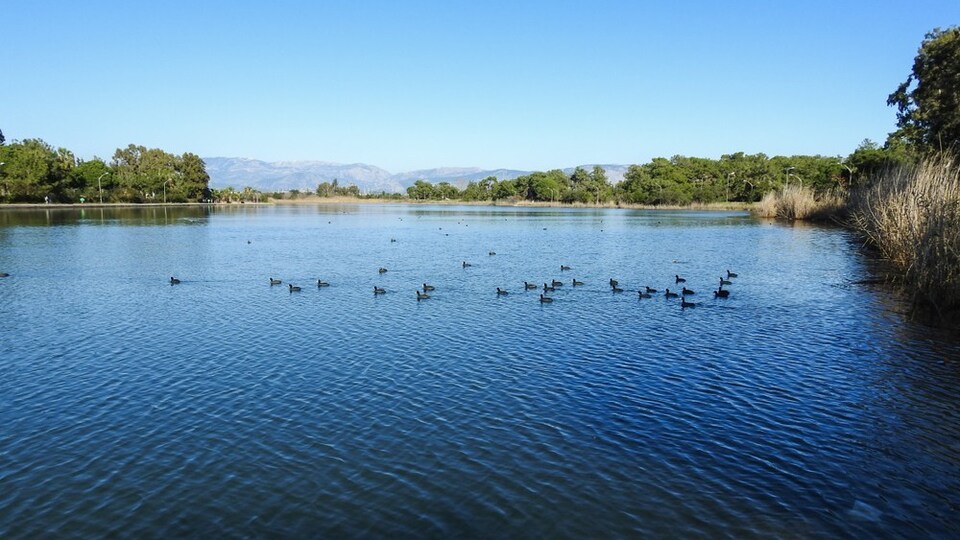 Hadi ipucu sorusu cevabı