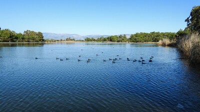Hadi ipucu sorusu cevabı