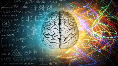 Beynimizin hangi yarım küresi daha baskın?