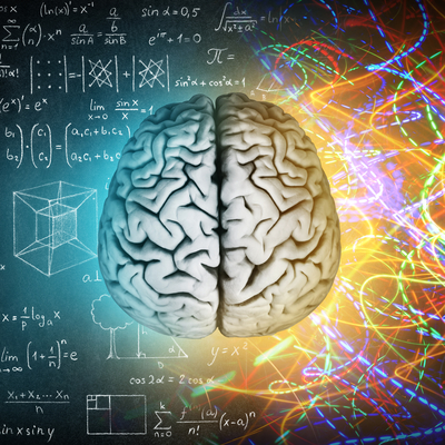 Beynimizin hangi yarım küresi daha baskın?