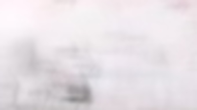 Samsun'da ölü yunus karaya vurdu