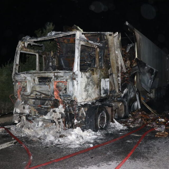 Seyir halindeki TIR alev alev yandı