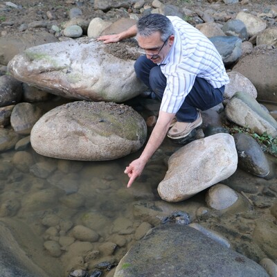 Kova kova toplayıp bıraktılar