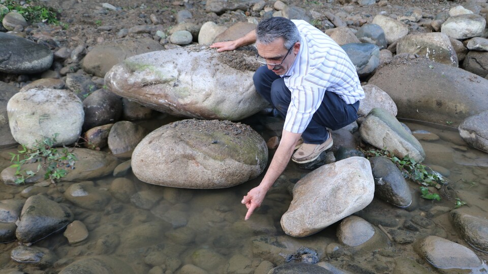 Kova kova toplayıp bıraktılar