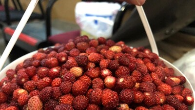 Kilosu 120 TL'den yok satıyor!