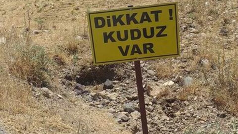 Köpek kuduz çıktı, köy karantinada!