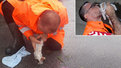 Yavru kediyi kurtaran o işçi konuştu!