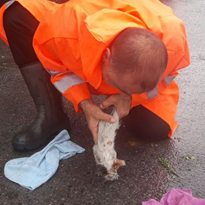 Yavru kediyi kurtaran o işçi konuştu!