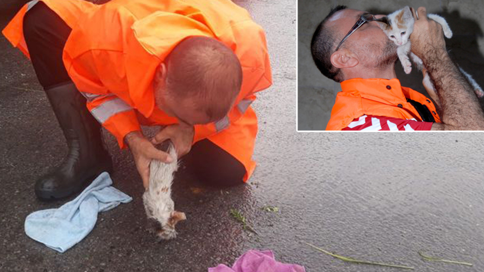 Yavru kediyi kurtaran o işçi konuştu!