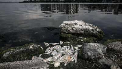 Bakanlıktan Küçükçekmece Gölü açıklaması
