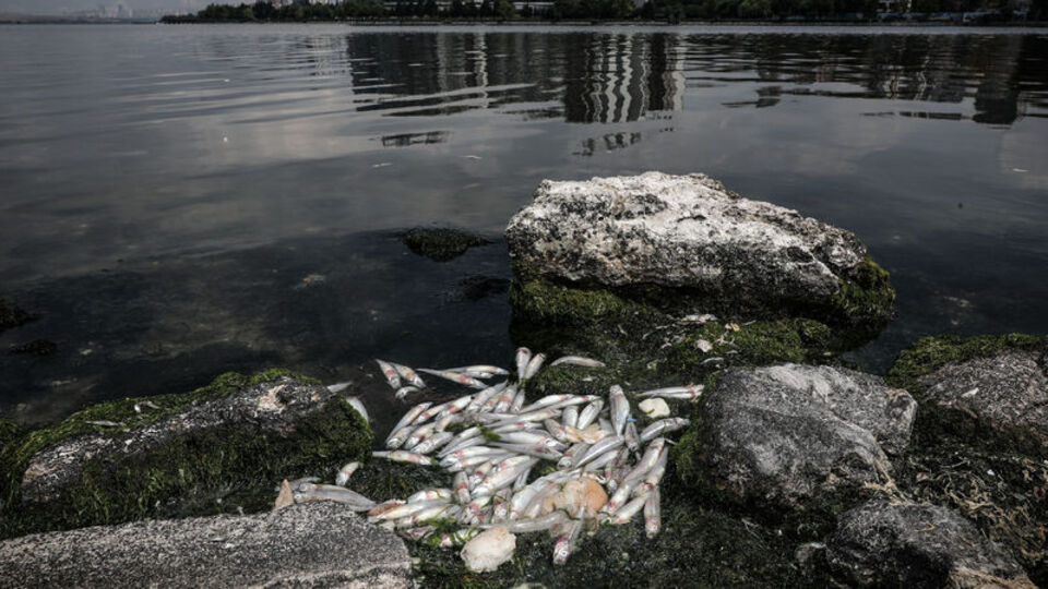 Bakanlıktan Küçükçekmece Gölü açıklaması