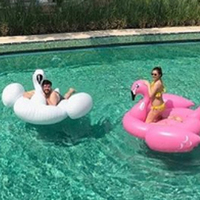 "İlişkimizin yükü flamingoların omzunda"