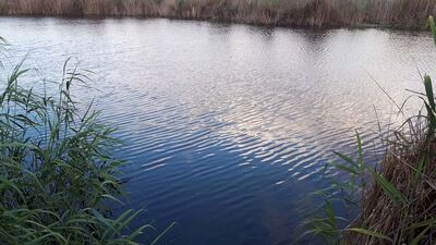 Mogan'da korkunç olay!