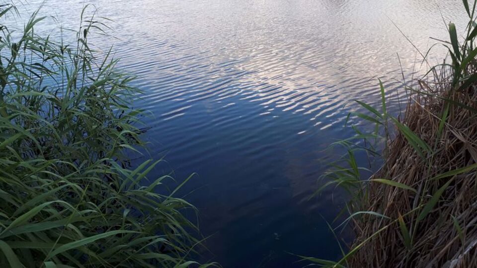 Mogan'da korkunç olay!