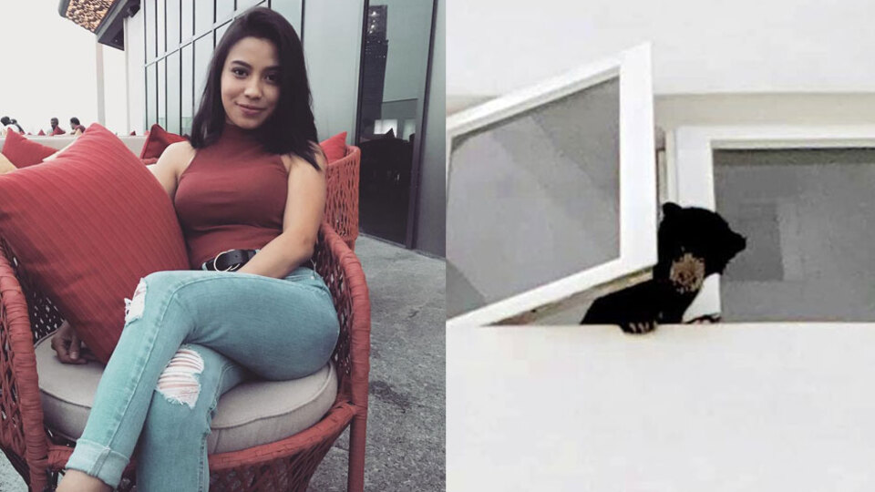 Köpek sanıp eve götürdü!