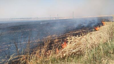 40 dönüm buğday tarlası kül oldu