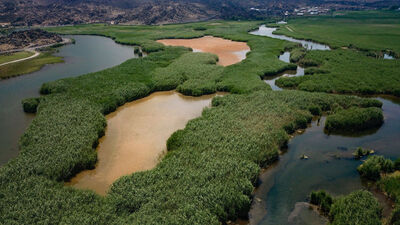 Su altı güzellikleri cezbediyor