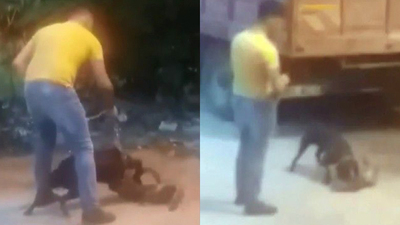 Köpeğini saldırtıp, kediyi parçalattı!