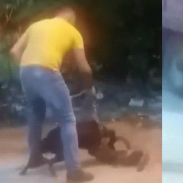 Köpeğini saldırtıp, kediyi parçalattı!