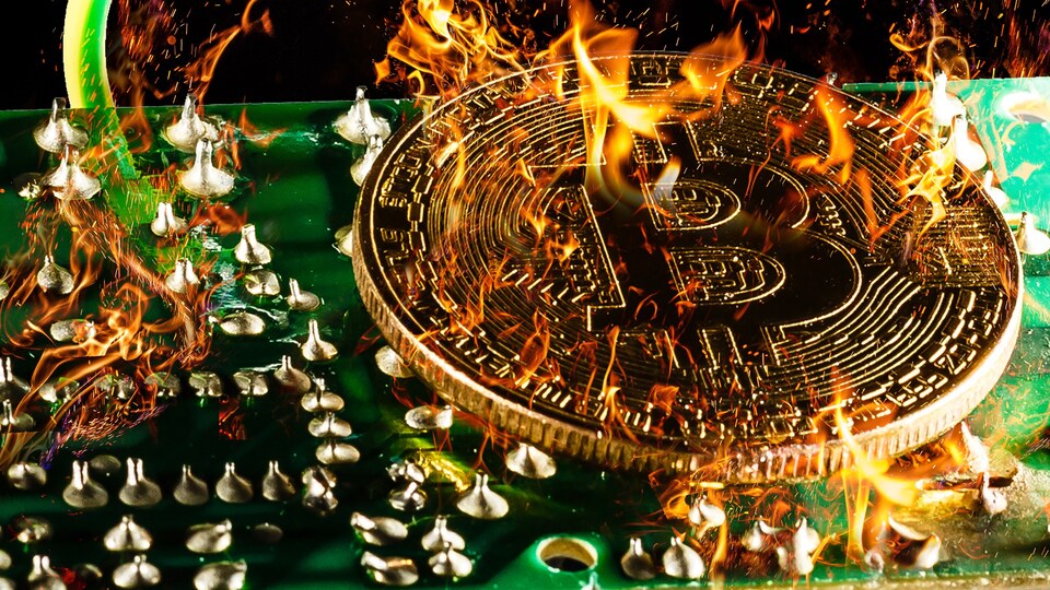 'Kripto paralar ortadan kaldırılmalı'