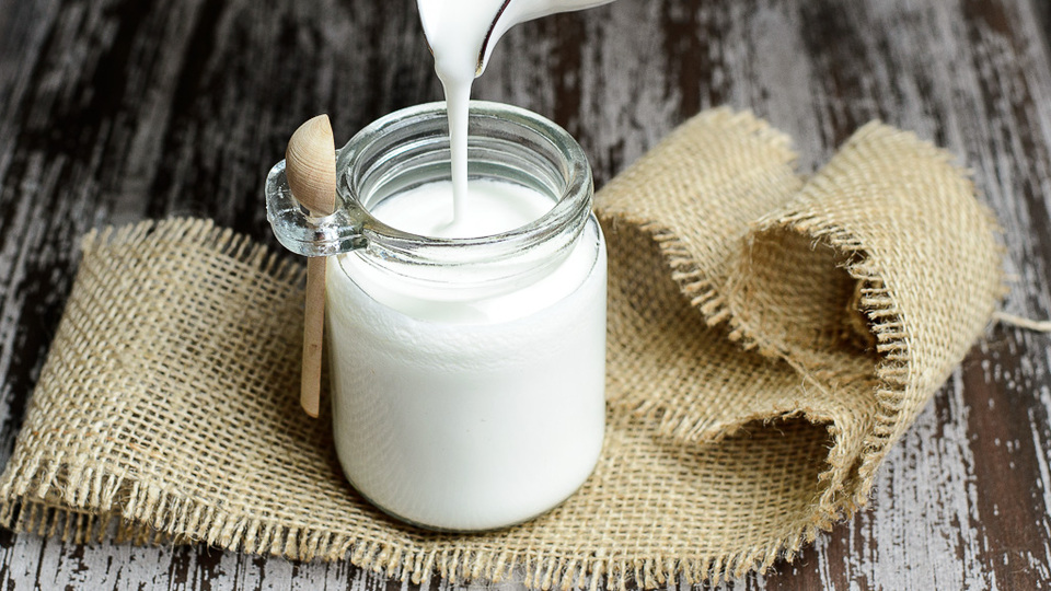 Kefir için 50 milyon TL yatırım