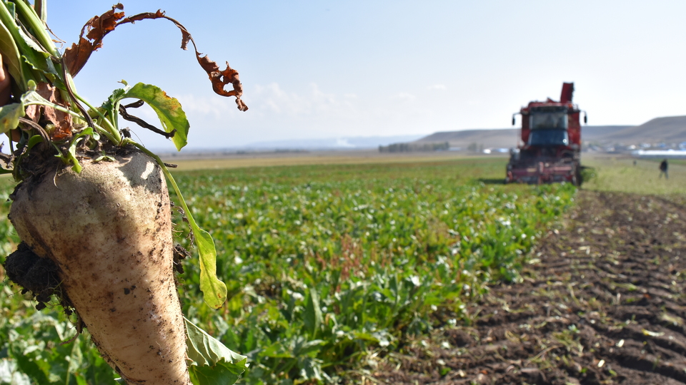 Avans ödemeleri yarın başlıyor