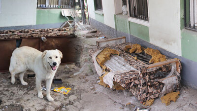 İçinden çıkanlar paylaşılamıyor!