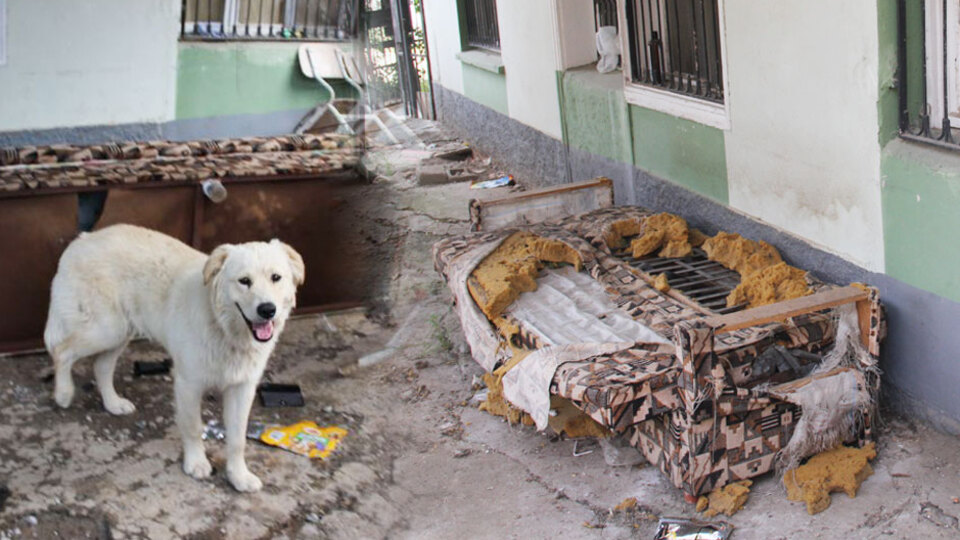 İçinden çıkanlar paylaşılamıyor!