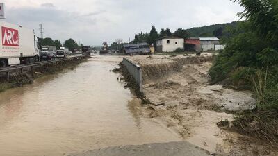 Kocaeli-Sakarya yolundaki esaretin karesi