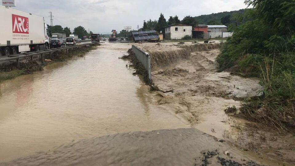 Kocaeli-Sakarya yolundaki esaretin karesi