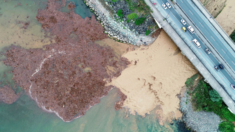 Karadeniz bu hale geldi! Diğer yanda odun sevinci...