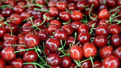 Çin ile anlaşma sağlandı, süre kaldırıldı