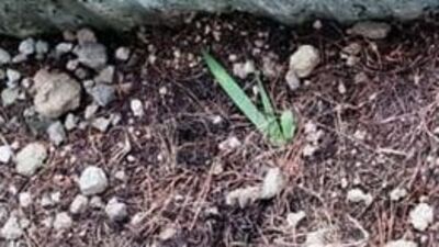 Bu görüntünün sırrı çözüldü